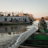 Aschar ist der Chef der selbst gezimmerten Fischer-WG.