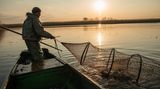 Die Fischer arbeiten im Wolgadelta. Die Gegend gehört zu den legendärsten Fischgründen des Landes, vielleicht sogar der Welt. 