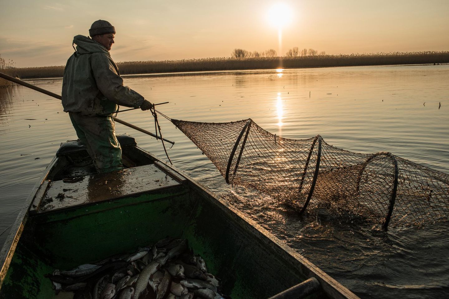 Die Fischer arbeiten im Wolgadelta. Die Gegend gehört zu den legendärsten Fischgründen des Landes, vielleicht sogar der Welt. 