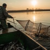 Die Fischer arbeiten im Wolgadelta. Die Gegend gehört zu den legendärsten Fischgründen des Landes, vielleicht sogar der Welt. 