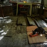 Nun droht es einzustürzen. Die Dielen verfaulen, hinter den Teppichen an der Wand wächst Schimmel, an der Decke klafft ein Loch.