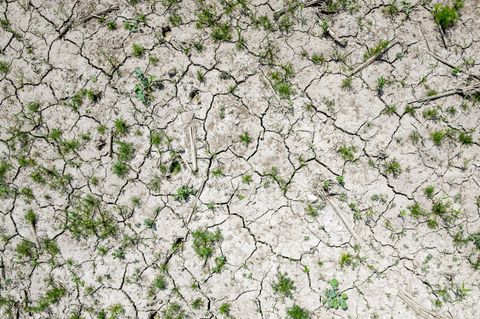 Ausgetrockneter Boden