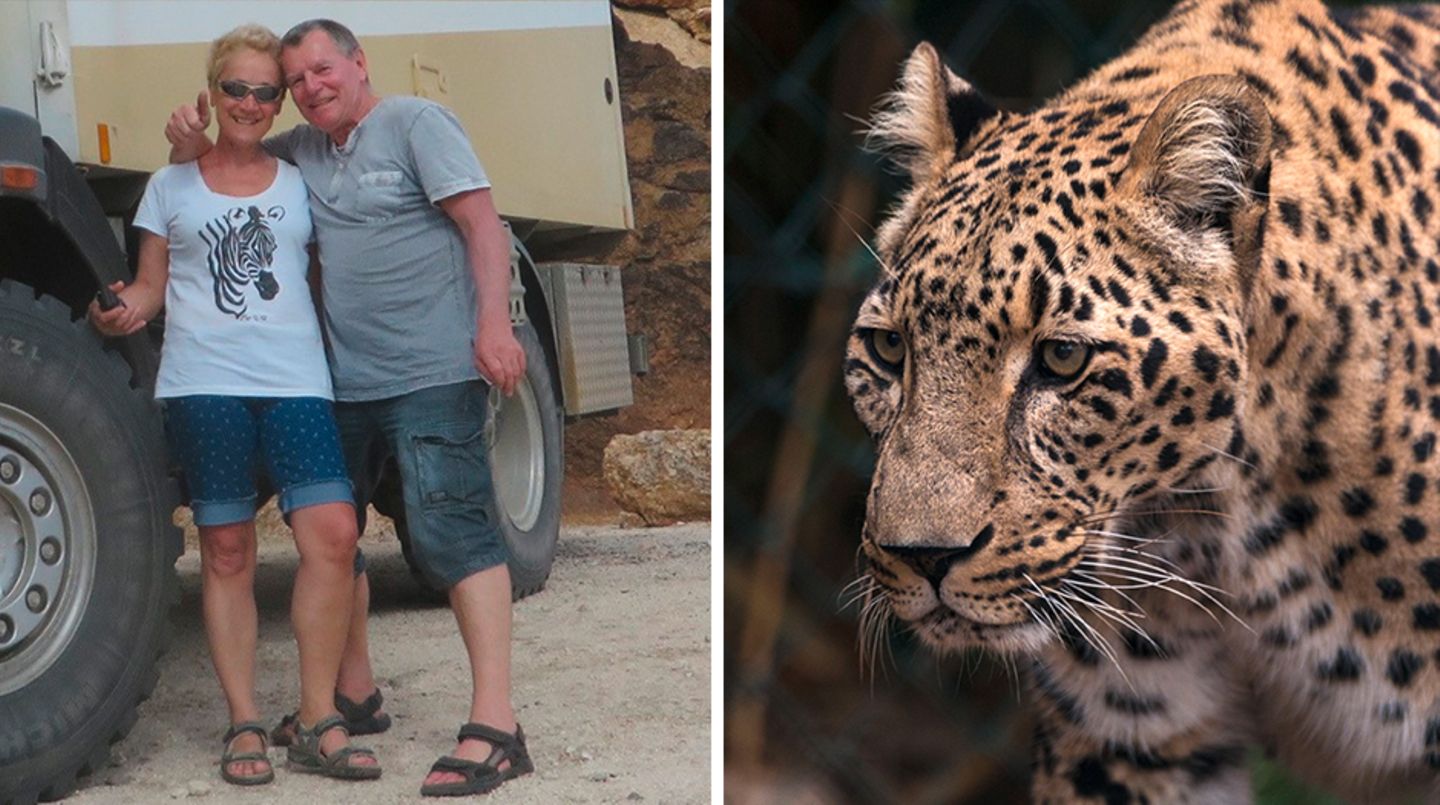 "Petra, ich glaub', jetzt muss ich sterben": Deutscher Urlauber spricht über Leoparden-Attacke