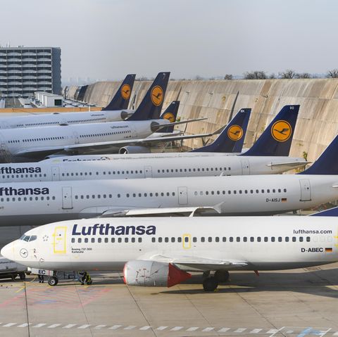 Lufthansa-Maschinen am Flughafen von Frankfurt am Main