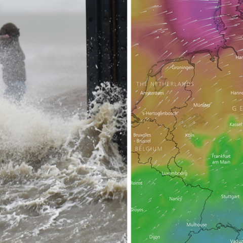 Sturm Tracker Windy - Gewitter
