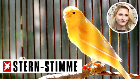 C. Tauzher: Mutter in Rage und ihre Kinder: "Zum allerallerletzten Mal - keine Vögel!"
