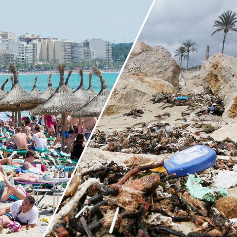 Abwasser-Probleme: Mallorca: Wer will schon zwischen Müll und Fäkalien baden?