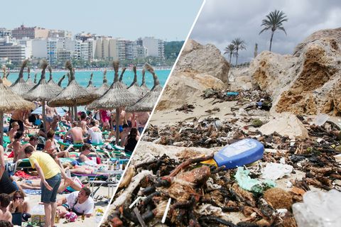 Abwasser-Probleme: Mallorca: Wer will schon zwischen Müll und Fäkalien baden?