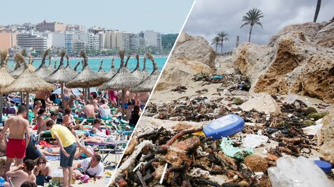 Abwasser-Probleme: Mallorca: Wer will schon zwischen Müll und Fäkalien baden?