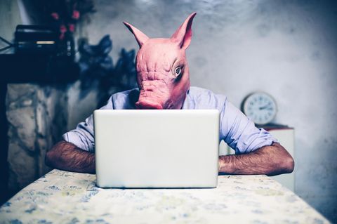 "Incels": Ein Mann sitzt mit einer Schweinemaske vor einem Computer