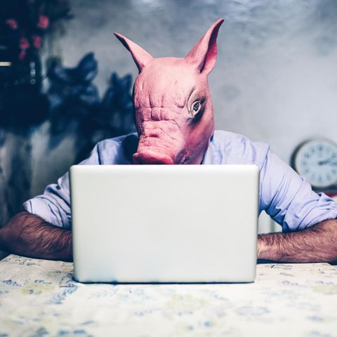 "Incels": Ein Mann sitzt mit einer Schweinemaske vor einem Computer