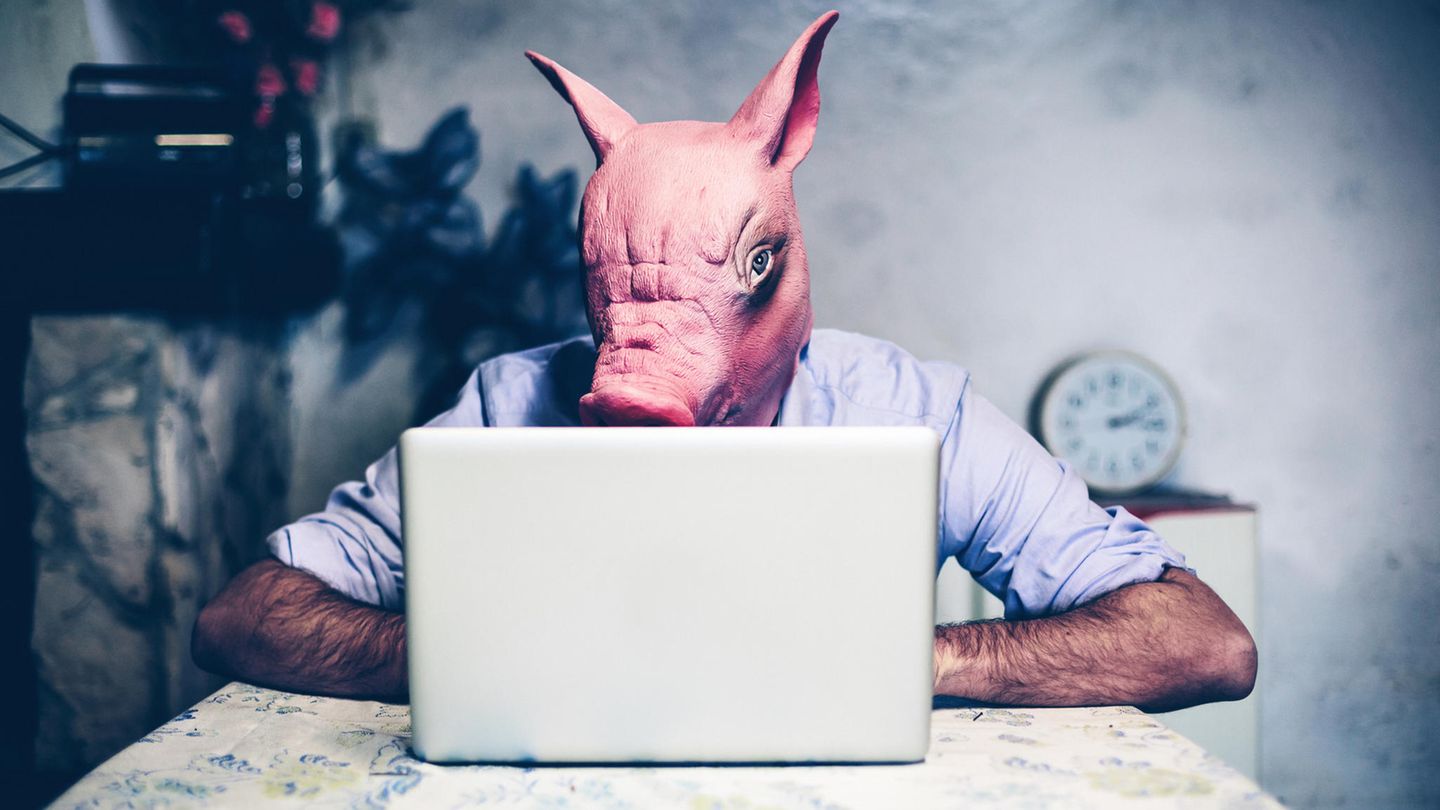 "Incels": Ein Mann sitzt mit einer Schweinemaske vor einem Computer