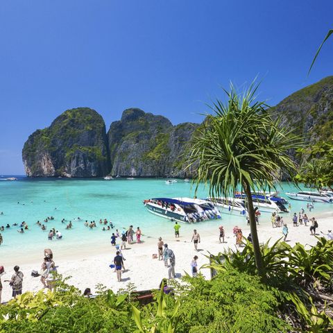 Maya Bay in Thailand