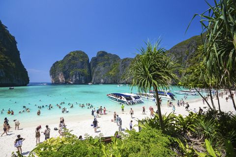 Maya Bay in Thailand