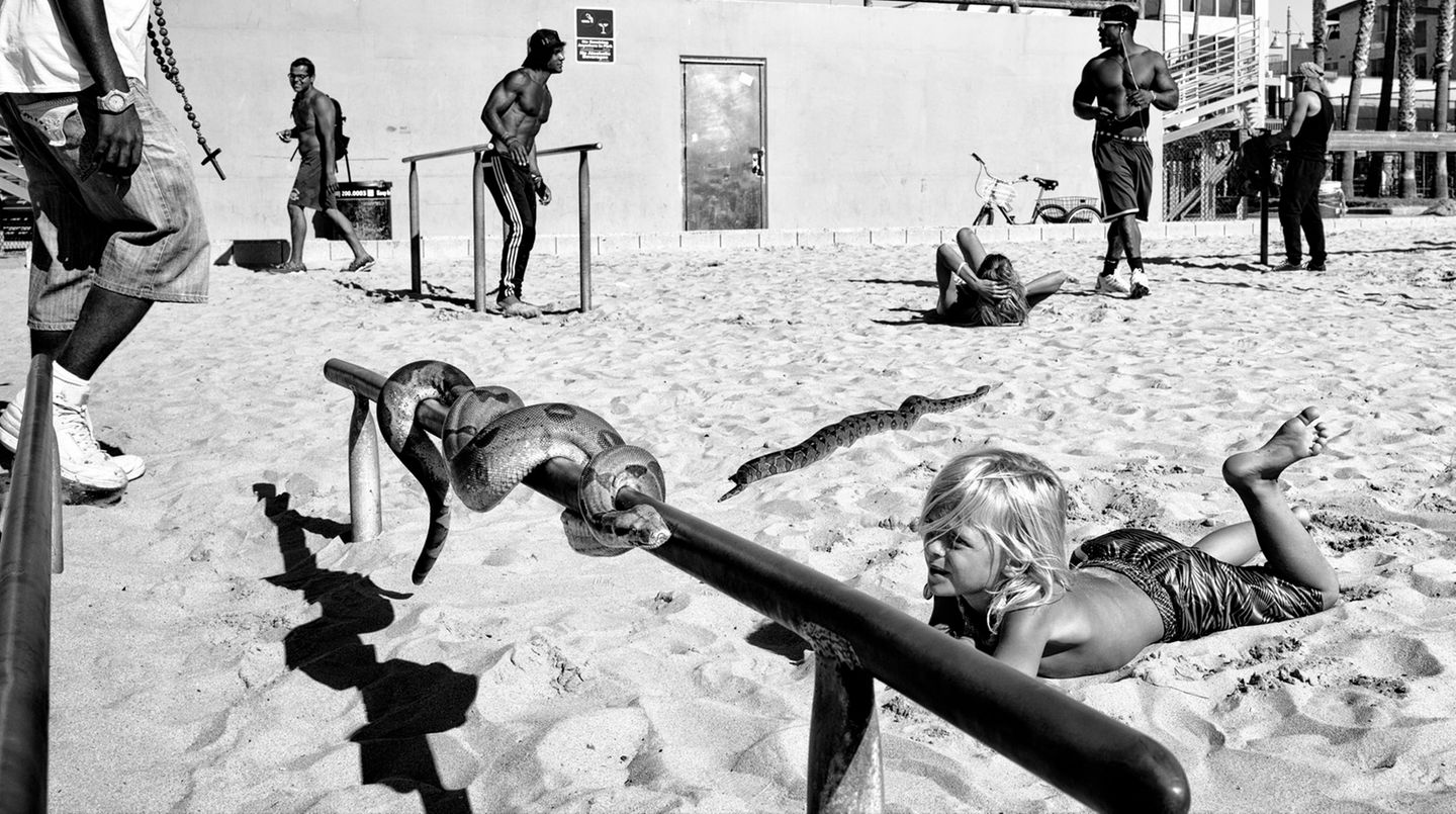 Venice Beach