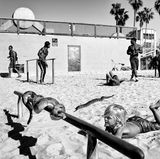 Venice Beach