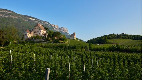 Bei Eppan weitet sich Südtirol: Die Berge rücken voneinander ab; auf den sanften Hügeln steht Schloss Englar.