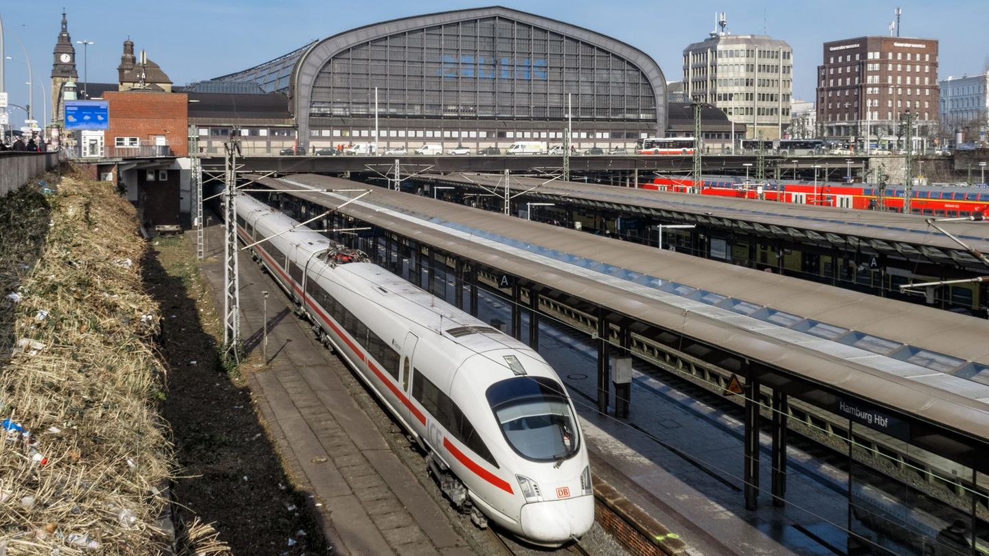 Der Hamburger Hauptbahnhof