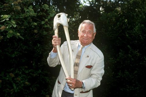 Heinz Sielmann