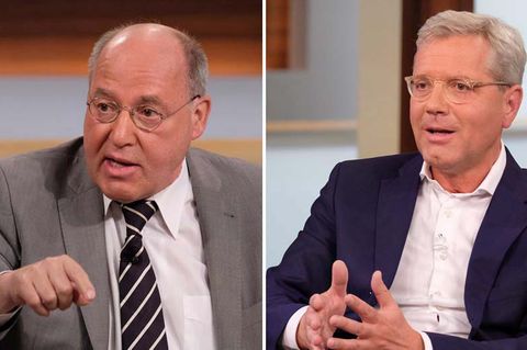 Fußball-WM Gregor Gysi Norbert Röttgen