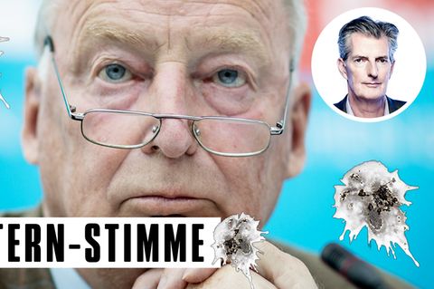AfD-Politiker Alexander Gauland sitzt vor einem blauen Hintergrund, auf den Vogelkot-Flecken montiert sind.