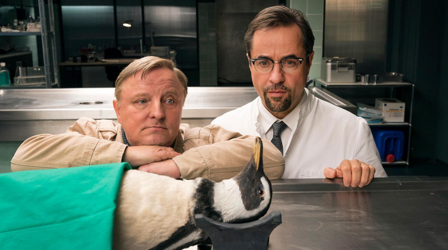 Tatort aus Münster Tatort aus Münster