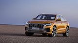Audi Q8 50 TDI mit 286 PS immerhin 232 km/h schnell