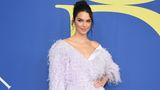 Kendall Jenner, Halbschwester von Kim Kardashian, funktionierte den heimischen Flokati-Teppich zum Designer-Kleid um 