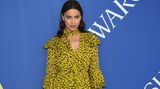 Kennen Sie das Marsupilami, ein Fanatasietier des belgischen Comic-Zeichners André Franquin? Falls nicht: Es sieht exakt so aus wie das Kleid von Model Irina Shayk.