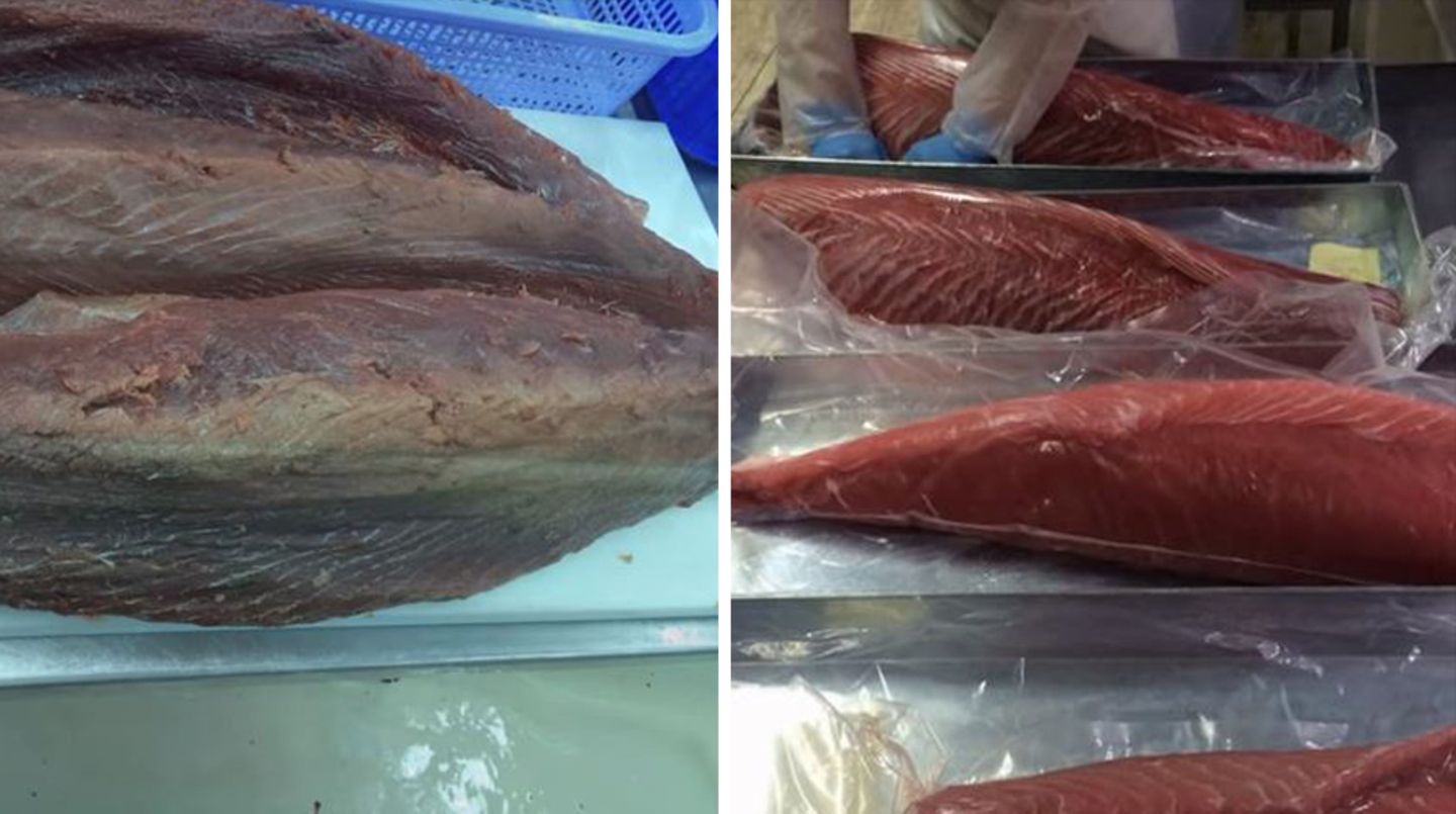 Aus alt mach neu? Filmaufnahmen aus einer Fischverarbeitungsfabrik 