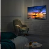 Bezahlbares Spitzenmodell: Samsung Q7F  Den Kompromiss aus Spitzenleistung und moderatem Preis bekommt Samsung hin. Die Q7F-Serie setzt auf Samsung eigene QLED-Technologie und liefert so ein brillantes Bild. Der Ton ist laut Warentest sogar sehr gut. Der Preis ist mit 1130 Euro für das 55-Zoll-Modell noch in Ordnung, beim 65er wird es 1600 Euro aber schon teurer.   Den vollständigen Test finden Sie gegen Gebühr auf Test.de