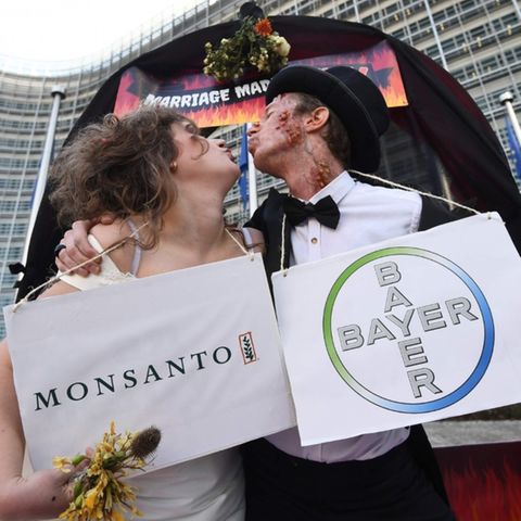 Umstrittener Unternehmenskauf: Bayer AG: Der Chemiekonzern hinter dem 56-Milliarden-Deal mit Monsanto