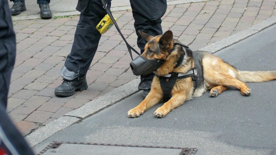 Polizeihund beißt in Darmstadt HIV-Infizierten
