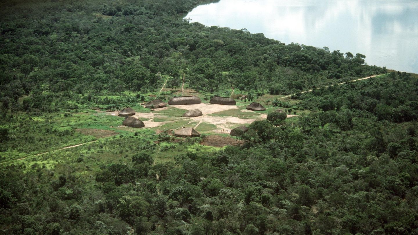 Blick auf ein Dorf der Kamayura-Indianer an einem See im Nationalpark Rio Xingu