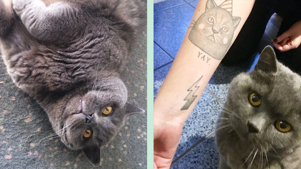 Zwei Fotos der Katze unserer Autorin. Auf dem rechten sieht man ihr Katzen-Tattoo.