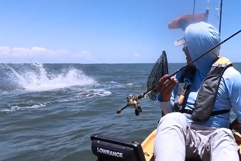 Freeport in Texas: Rochen überrascht Angler mit Sprüngen – das kann böse enden