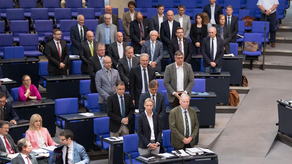 AfD-Abgeordnete benutzen eine Bundestagssitzung unangekündigt für eine Schweigeminute für Susanna aus Wiesbaden