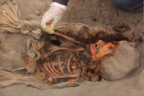 Die in Peru gefundenen Gebeine werden Kindern der präkolumbianischen Chimú-Kultur zugerechnet.