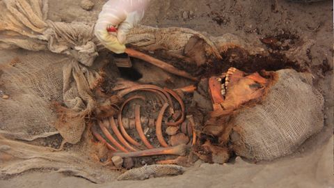 Die in Peru gefundenen Gebeine werden Kindern der präkolumbianischen Chimú-Kultur zugerechnet.