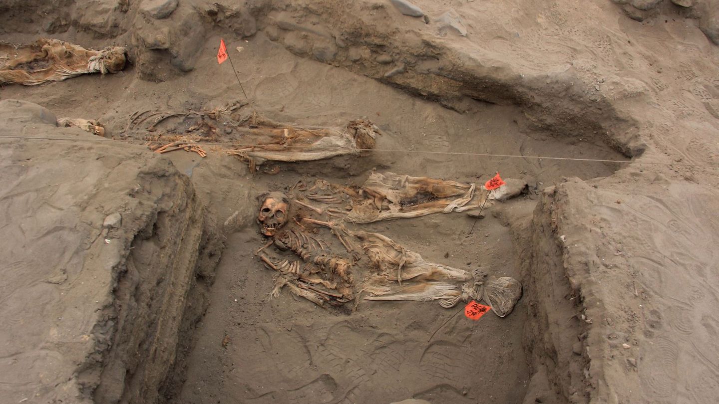 Die in Peru gefundenen Gebeine werden Kindern der präkolumbianischen Chimú-Kultur zugerechnet.