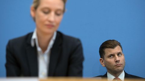 AfD-Sprecher Christian Lüth (mit Alice Weidel im Vordergrund) und die Lücke im Lebenslauf