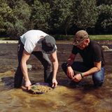 Es glänzt auch nicht alles, was Gold ist: Reporter Freddy bei der Suche