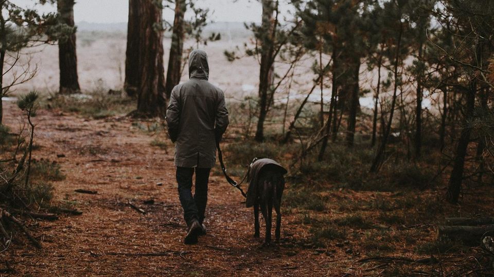 Mann und Hund im Wald