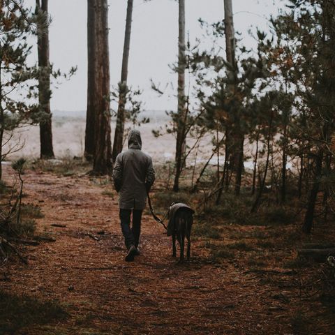Mann und Hund im Wald