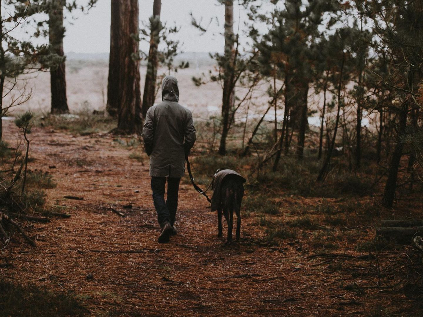 Nackte frauen lutscher penis vom hund