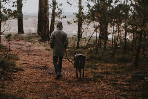Mann und Hund im Wald