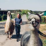 Zwei starke Charaktere: Lama Amaretto und Ärztin Monika Krout. Vorneweg latscht noch ein Alpaka – das hat aber nur eine Statistenrolle.