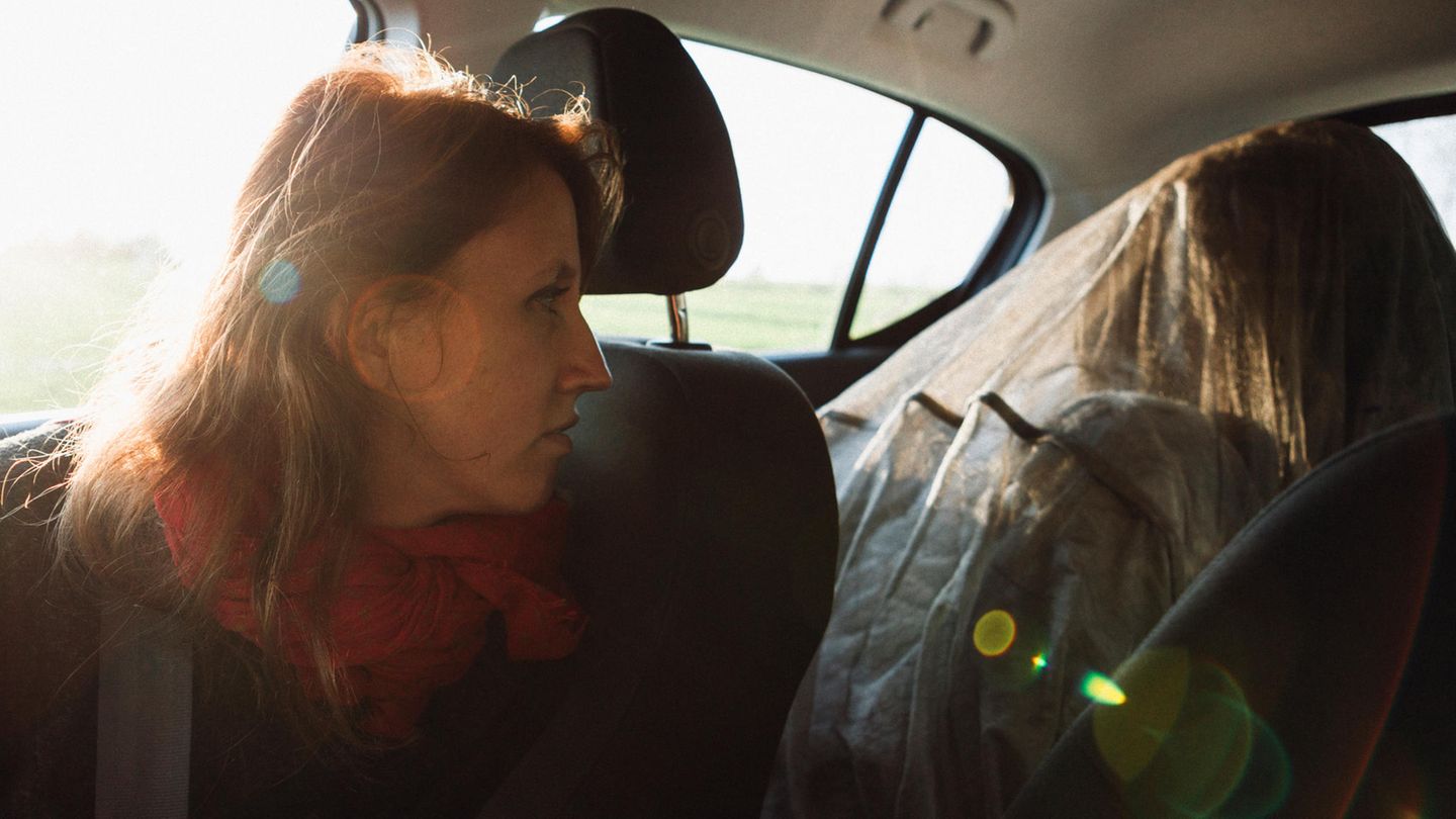 Mit Schutzanzug unter einem Silbernetz fahren wir mit Ulrich durch die Gegend. Bei 30 Grad. Die Klimaanlage läuft auf Hochtouren. Aber Schutz ist Schutz.