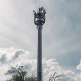 Der Gegner: der Funkturm. Mitten auf einem Berg im Schwarzwald. Auch Bäume, sagen Elektrosensible, macht der Funk krank. Gesund sieht der hier nicht aus.
