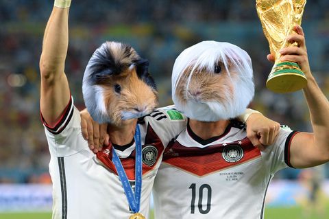 Das NEON-WM-Orakel: Deutschland gegen Südkorea: Schweini und Poldi lagen bisher immer richtig - heute auch?